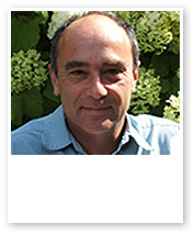 Professor Stephen Rollnick Ph.D